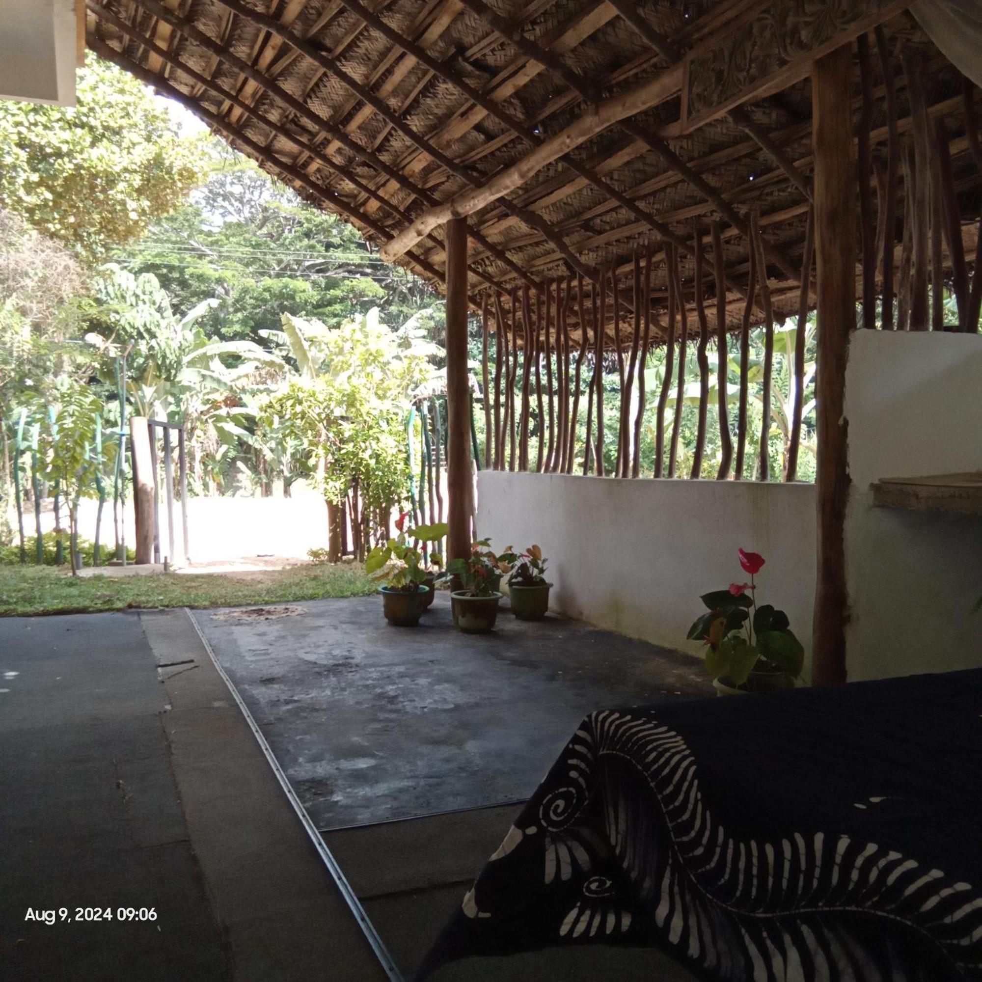 Dillenia Canopy Mirissa Exterior foto